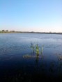 /album/fotogalerij/hollands-diep-3-jpg/